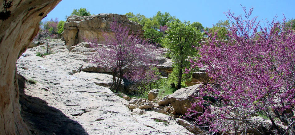 تنگ ارغوان ایلام