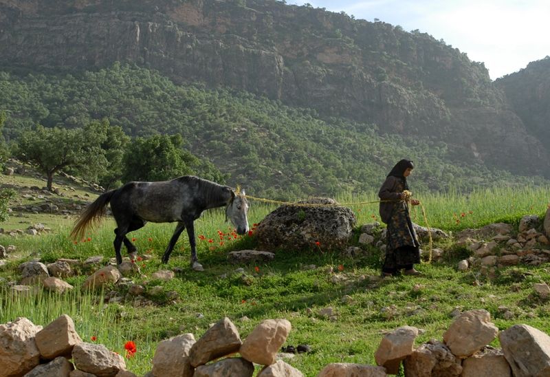 طبیعت استان چهارمحال و بختیاری