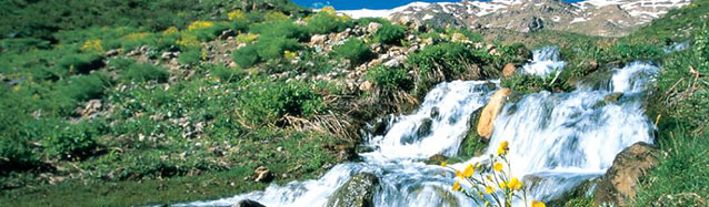 کوه دنا