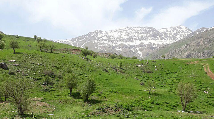 ارتفاعات کردستان