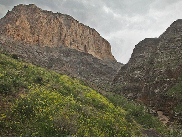 قلعه علی بیگ