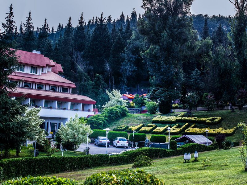 هتل جنگلی سالاردره ساری