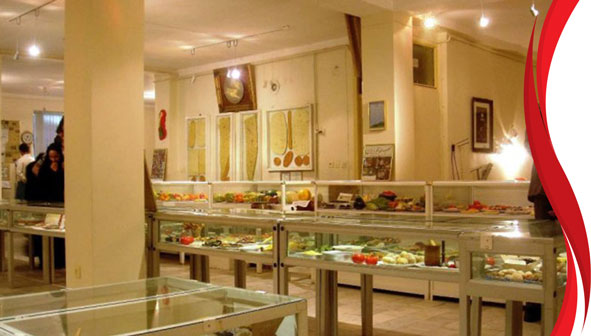 موزه مجسمه های خوراکی تبریز