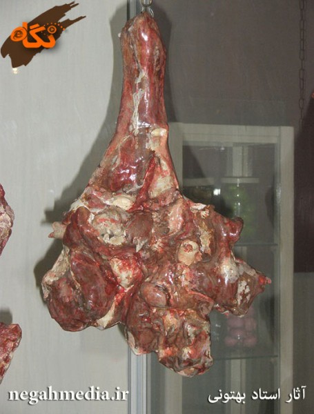 موزه مجسمه های خوراکی تبریز