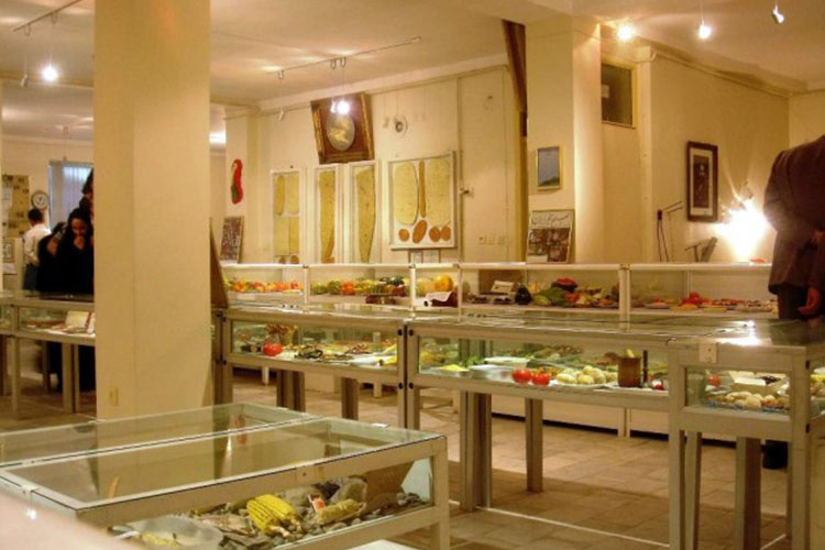 موزه مجسمه های خوراکی تبریز