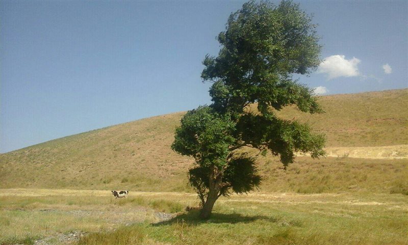 روستای خشکناب