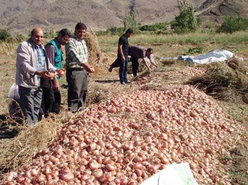 منطقه گردشگری بکر و زیبای هوراند