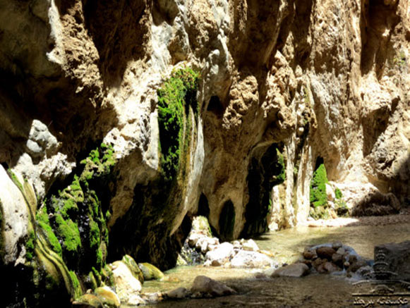 چشمه آبگرم مرتضی علی