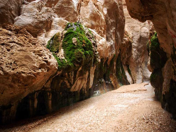 چشمه آبگرم مرتضی علی