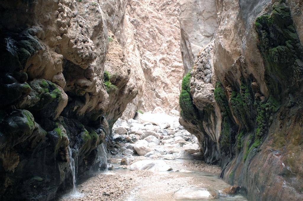 چشمه آبگرم مرتضی علی