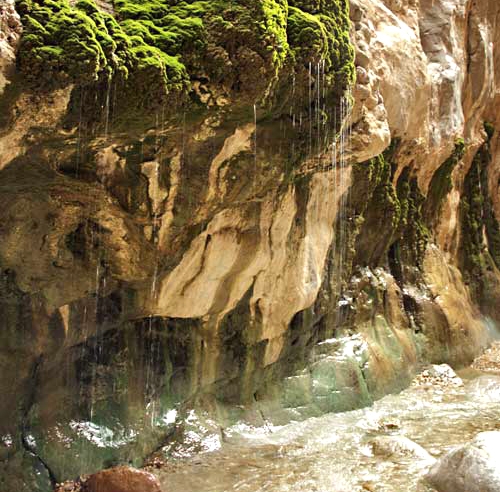 چشمه آبگرم مرتضی علی