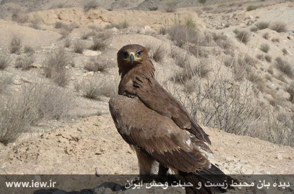 پارک ملی دریایی نایبند