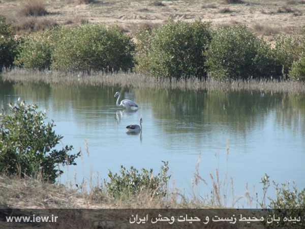 پارک ملی دریایی نایبند