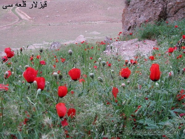 قلعه و غار قیزلار قالاسی