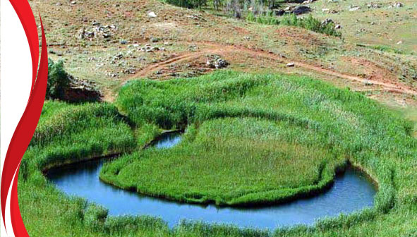 چمن متحرک چملی