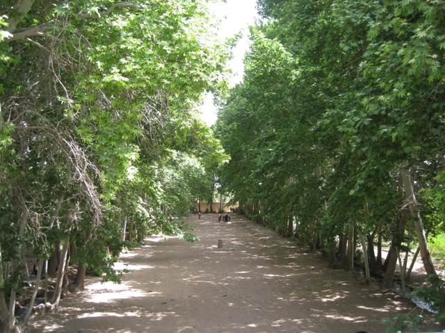 باغ پهلوان پور