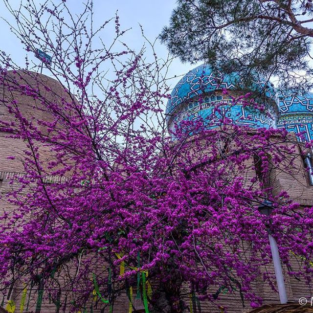 سه گنبدان کرمان