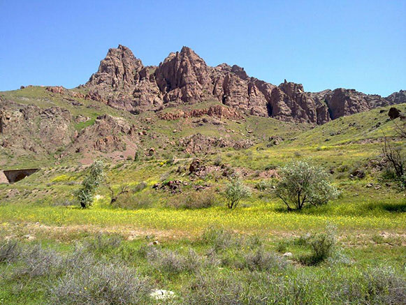 منطقه ی حفاظت شده کاغذکنان