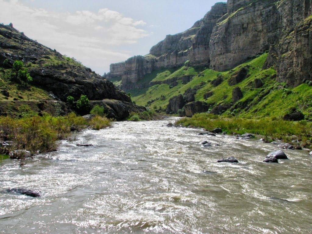 منطقه ی حفاظت شده کاغذکنان