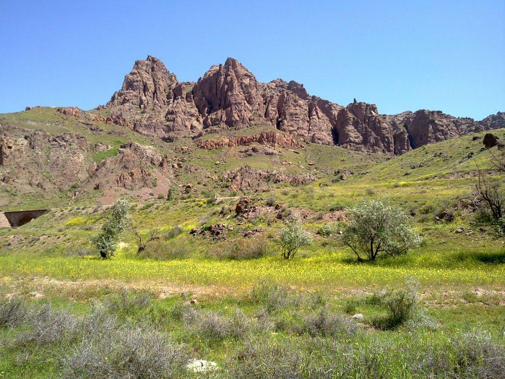 منطقه ی حفاظت شده کاغذکنان