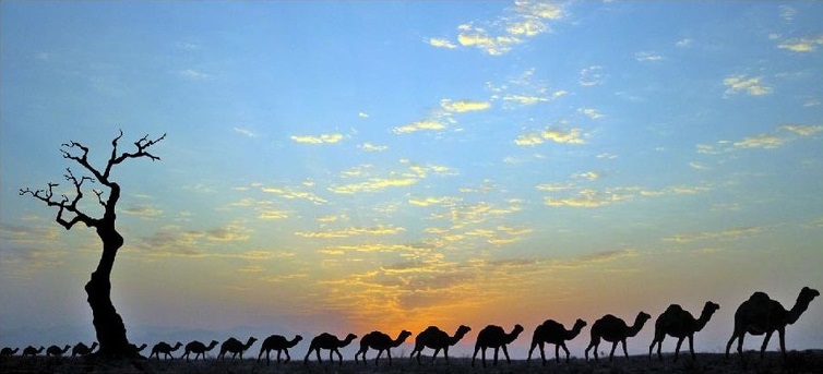 بیابان مرنجاب (بند ریگ)