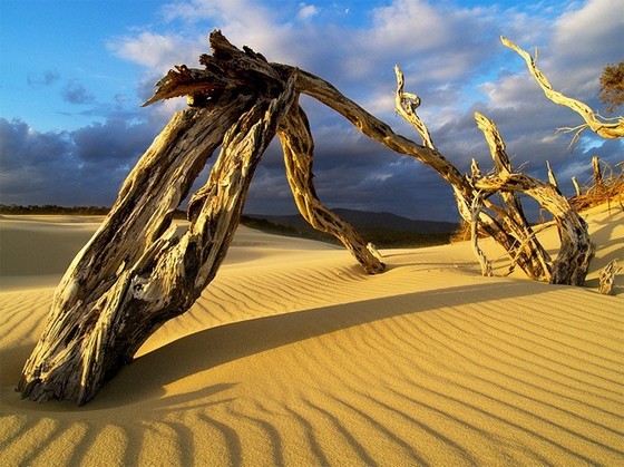 بیابان مرنجاب (بند ریگ)