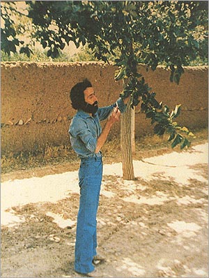 آرامگاه سهراب سپهری