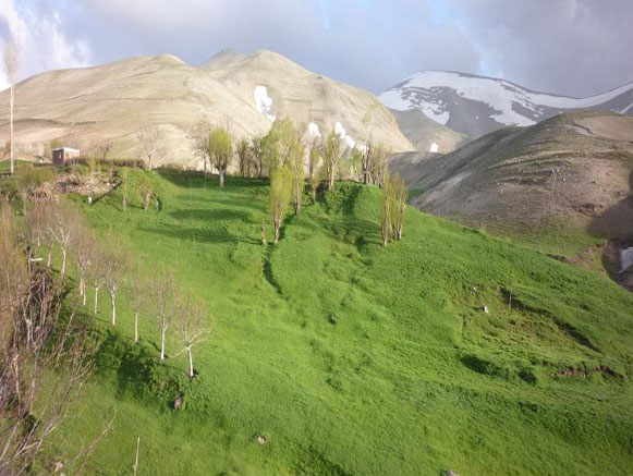 بزرگترین مسجد صخره ای ایران