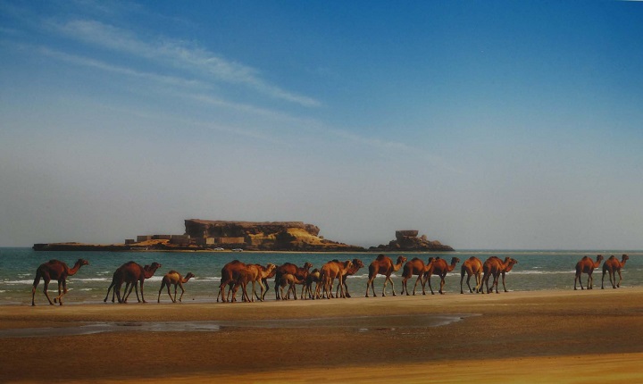 جزیره هنگام
