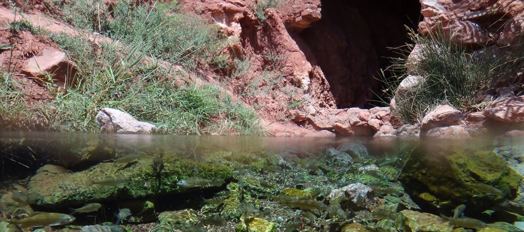 روستای گرمه