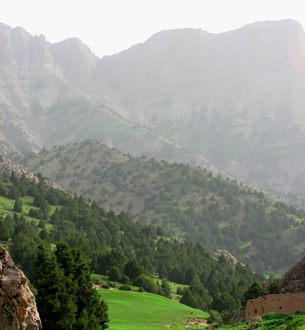 کاخ خورشید کلات