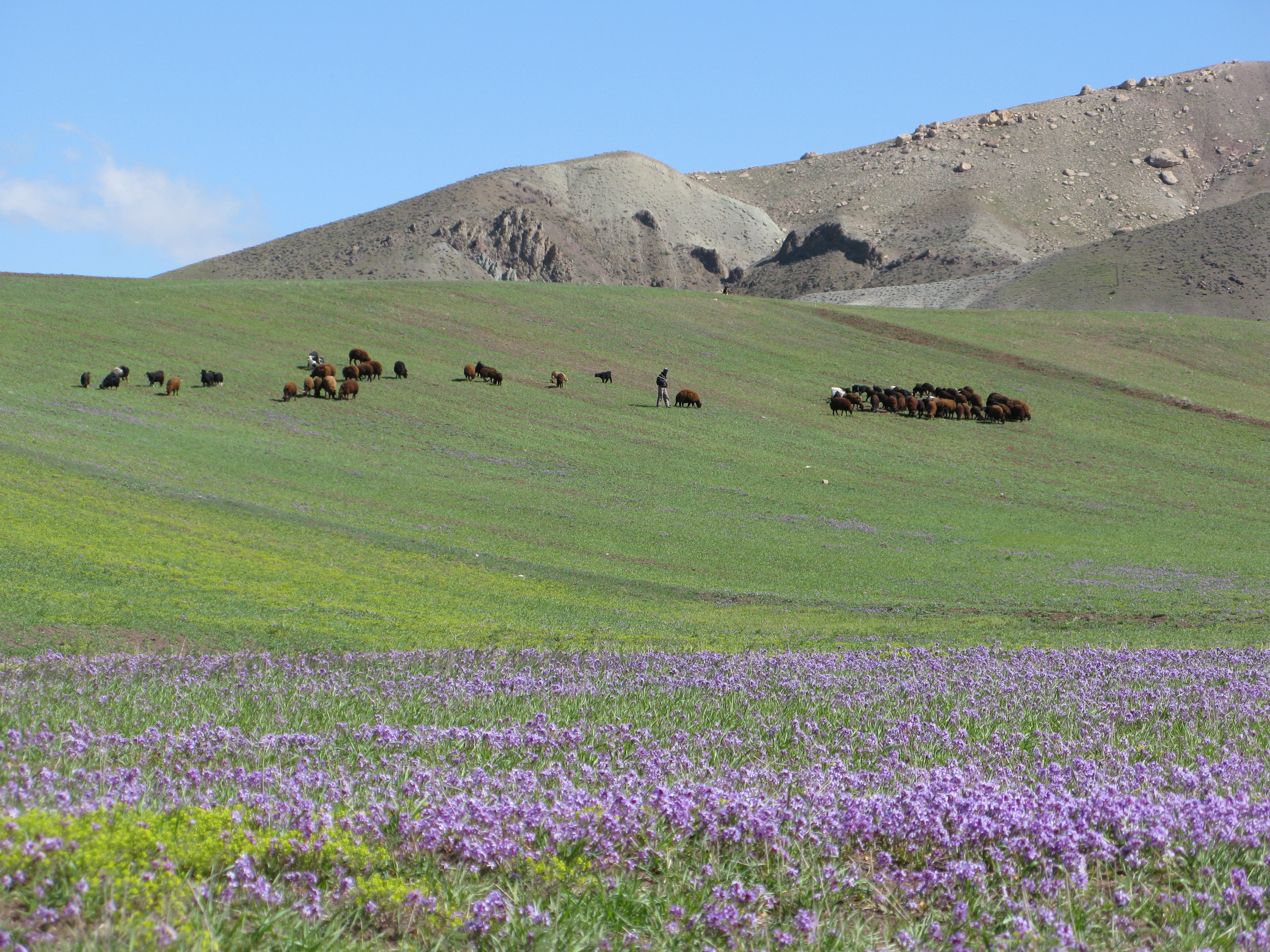 روستای آتش بیگ