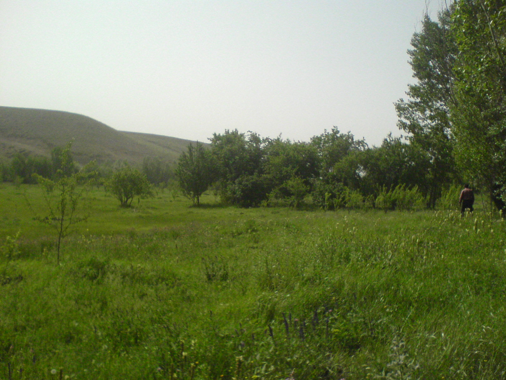 روستای آتش بیگ