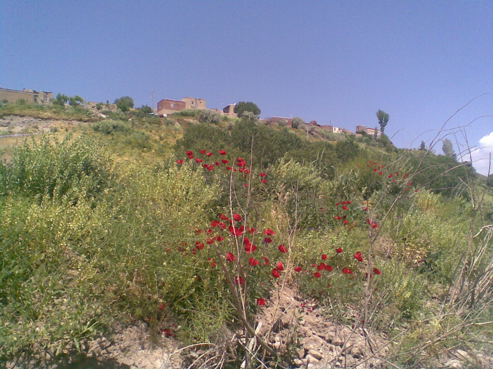 روستای آتش بیگ