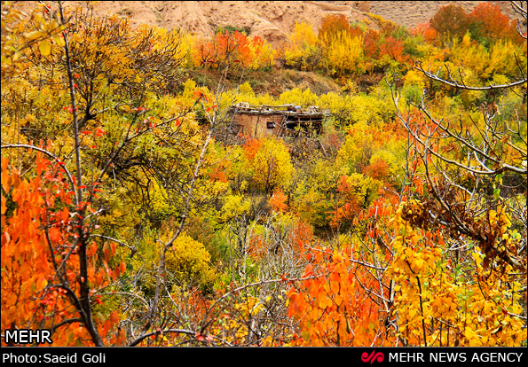 روستای بوژان