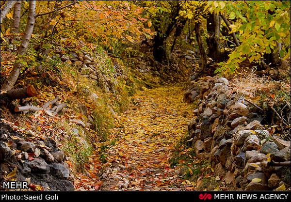 روستای بوژان