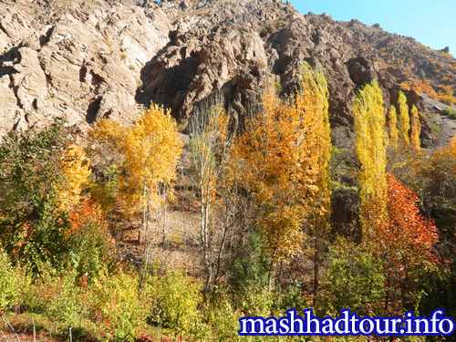 روستای بوژان