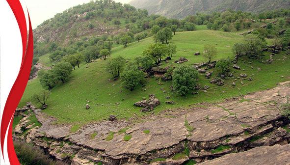تنگه رازیانه
