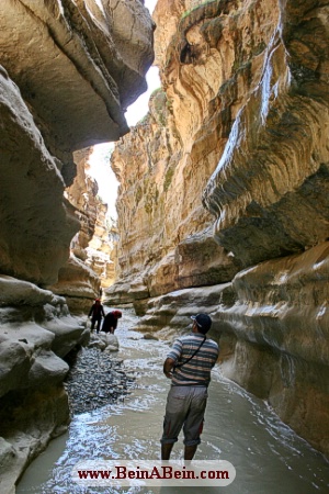 تنگه رازیانه