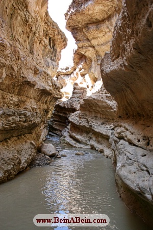 تنگه رازیانه
