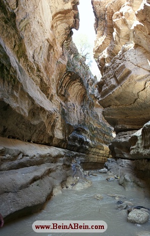 تنگه رازیانه