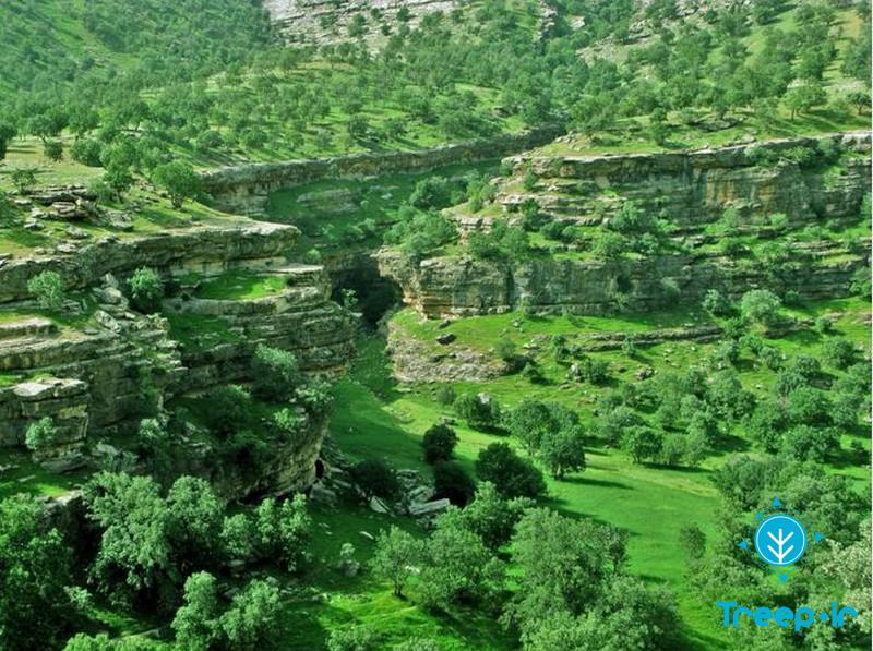تنگه رازیانه