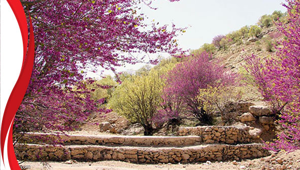 تنگه ارغوان