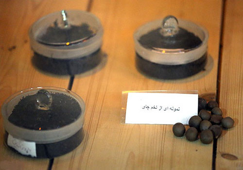 آرامگاه کاشف السلطنه (موزه تاریخ چای)