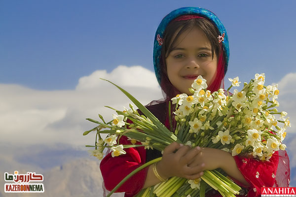 نرگس زار کازرون
