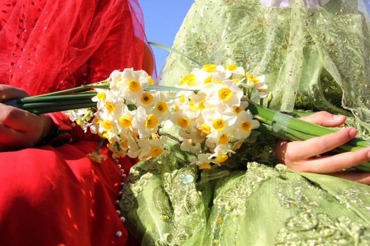 نرگس زار کازرون