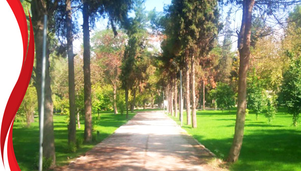 باغ نظر کازرون