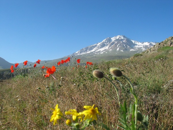 کوه سبلان