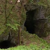 Avishi Cave