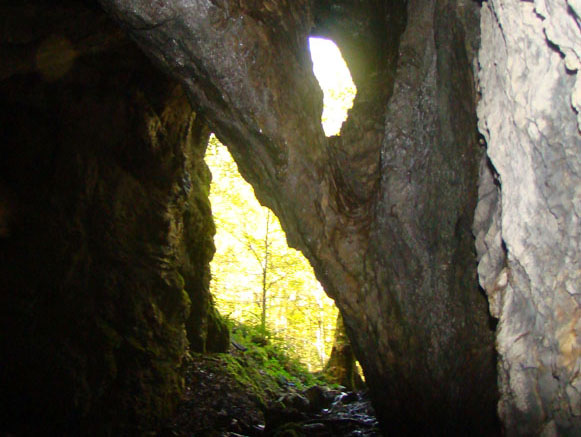 غار آویشوی